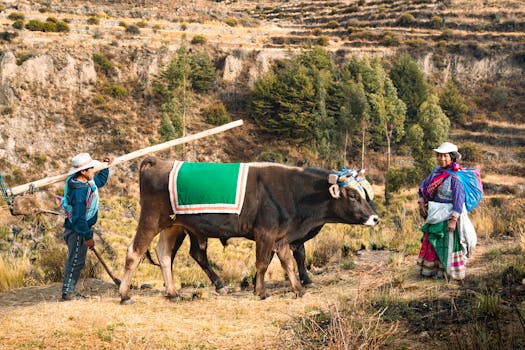 Does Positive Thinking Boost Your Chances at the Casino?