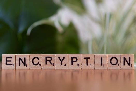 Maximizing Safety in Online Casinos: A Guide to Protecting Your Data